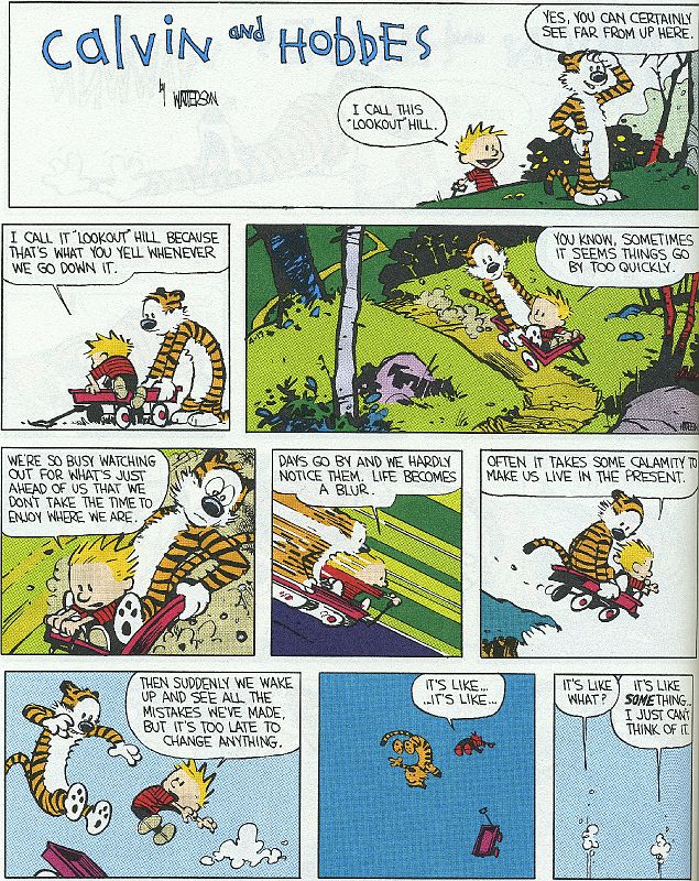 17 Calvin And Hobbes - Life Is A Blur 